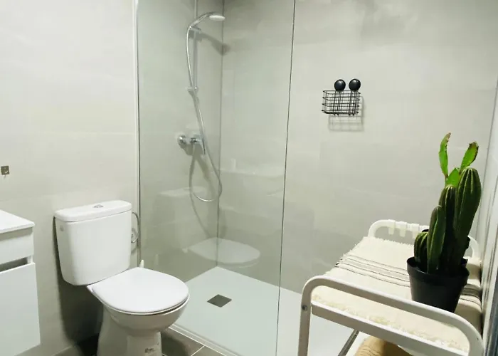 Golden Wave Surf * 科拉雷侯